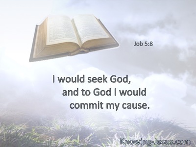 I would seek God, and to God I would commit my cause.